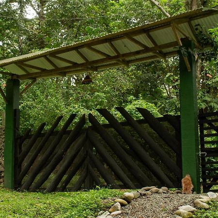 Smile Jungle Hostel Puerto Viejo de Talamanca Экстерьер фото
